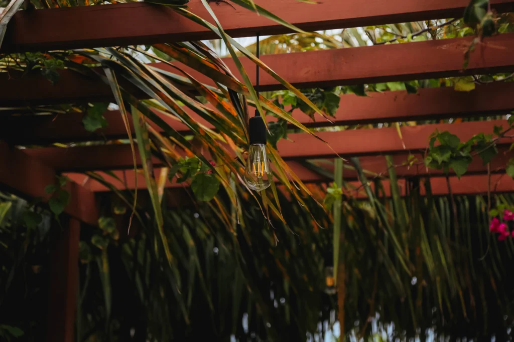 Edison bulb hanging from a wood pergola