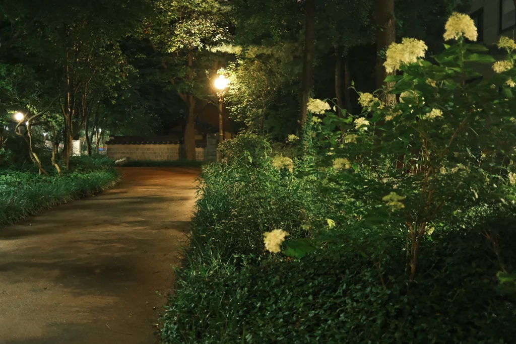 Lamp-lit garden pathway at night