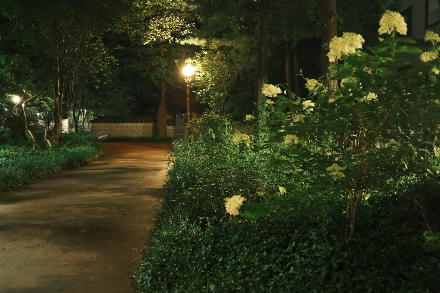 Lamp-lit garden pathway at night