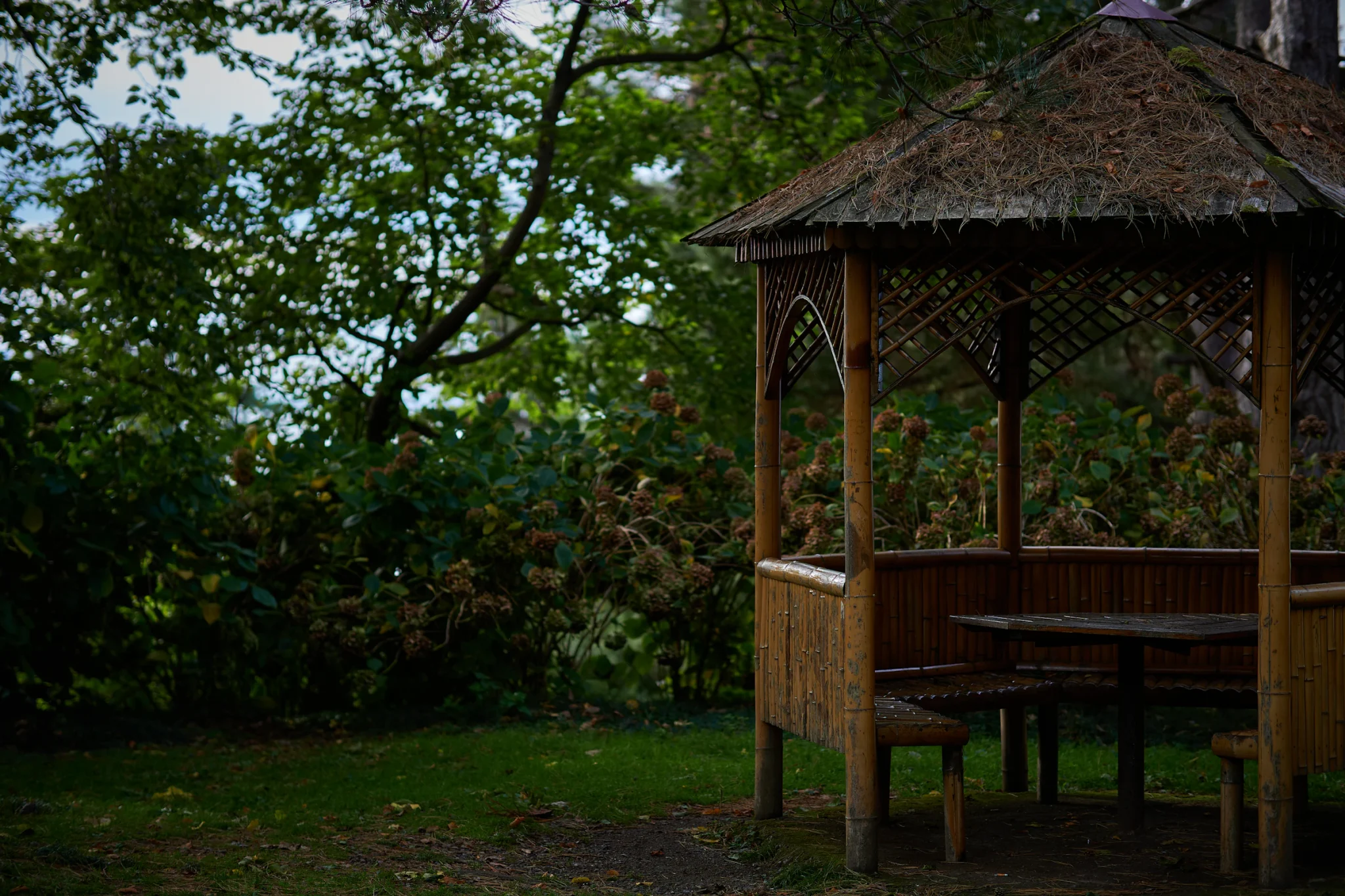 Wood gazebo sheltering a table and bench on a lawn